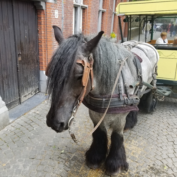 Meet your Posher, Annie - Picture 7 of 11